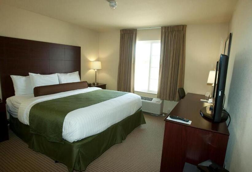 带大床的标准间, Cobblestone Inn & Suites   Langdon