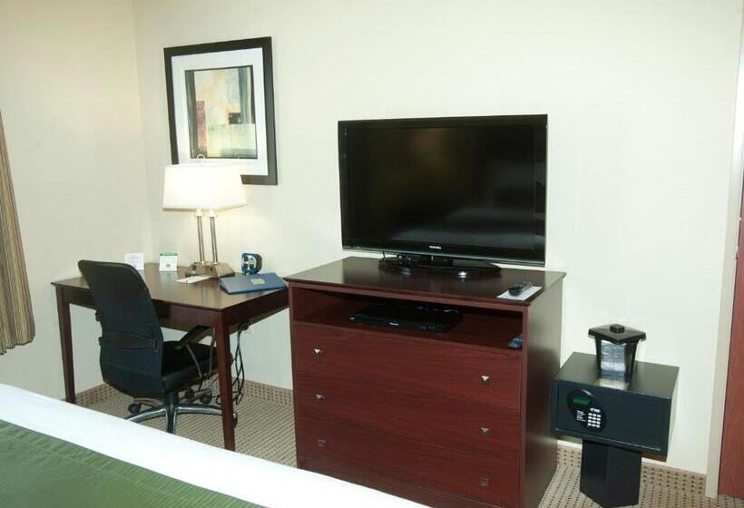 适合残疾人士使用的带超级大床的标准间, Cobblestone Inn & Suites   Langdon