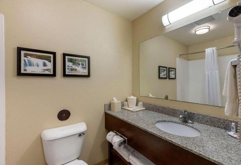 Номер Стандарт, Comfort Inn & Suites Marion I57