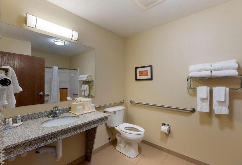 Номер Стандарт Адаптированный для Инвалидов, Comfort Inn & Suites Marion I57