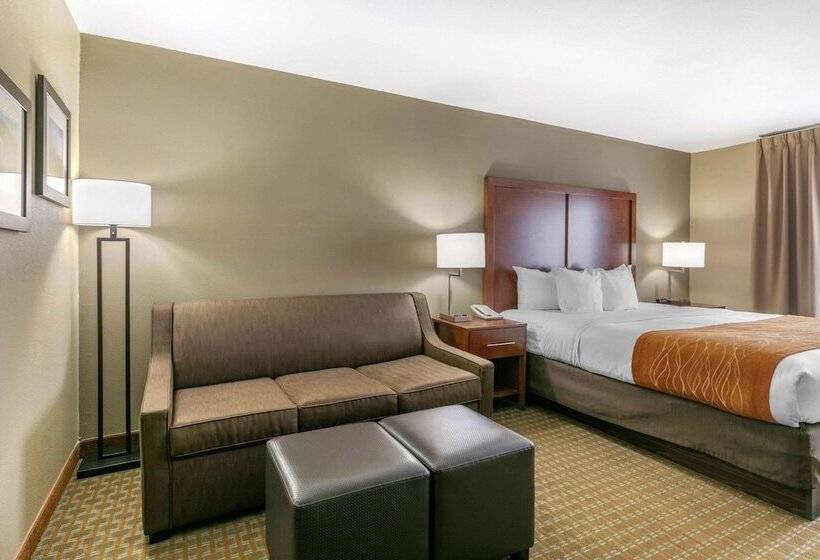 Люкс Адаптированный для Инвалидов, Comfort Inn & Suites Marion I57