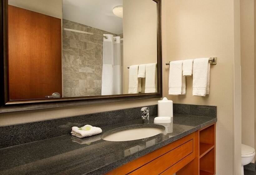 套房, Drury Plaza Hotel Nashville Franklin