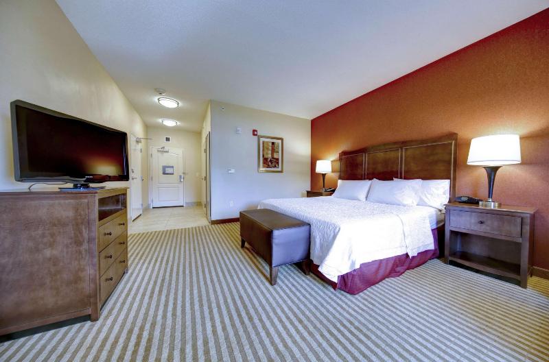 스탠다드 룸 킹사이즈 침대, Hampton Inn & Suites Harrisburg/north