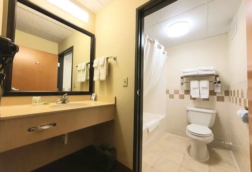 Номер Executive, Amerivu Inn And Suites  Waconia