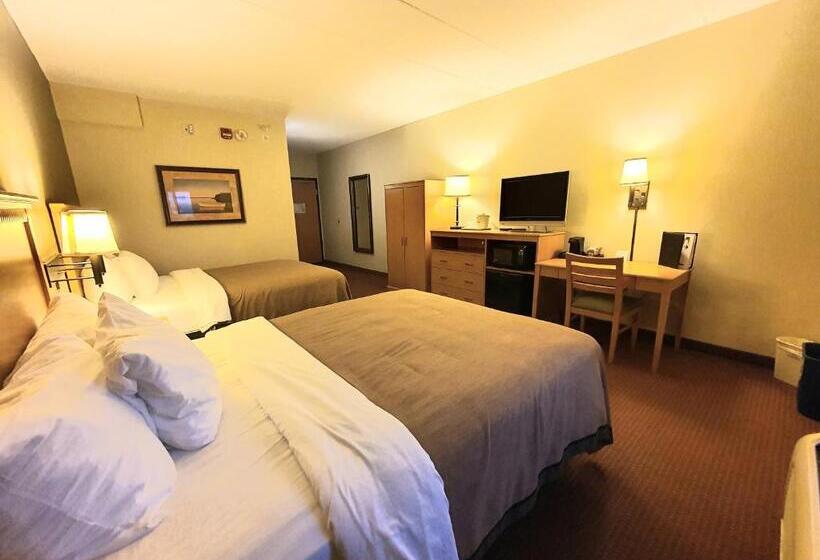 Номер Стандарт Кровать Квин Адаптированный для Инвалидов, Amerivu Inn And Suites  Waconia