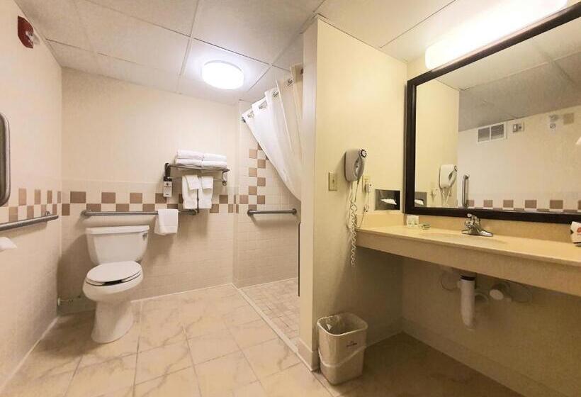 Номер Стандарт Кровать Кинг Адаптированный для Инвалидов, Amerivu Inn And Suites  Waconia