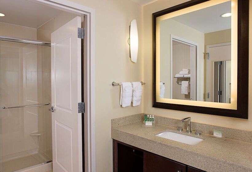 套房, Homewood Suites By Hilton Dallas Downtown, Tx