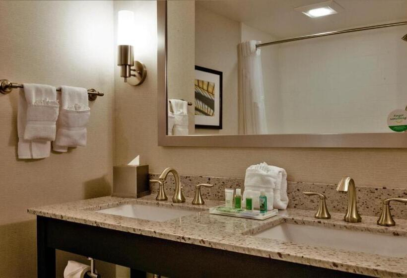 スイート（家族用）, Holiday Inn And Suites East Peoria, An Ihg
