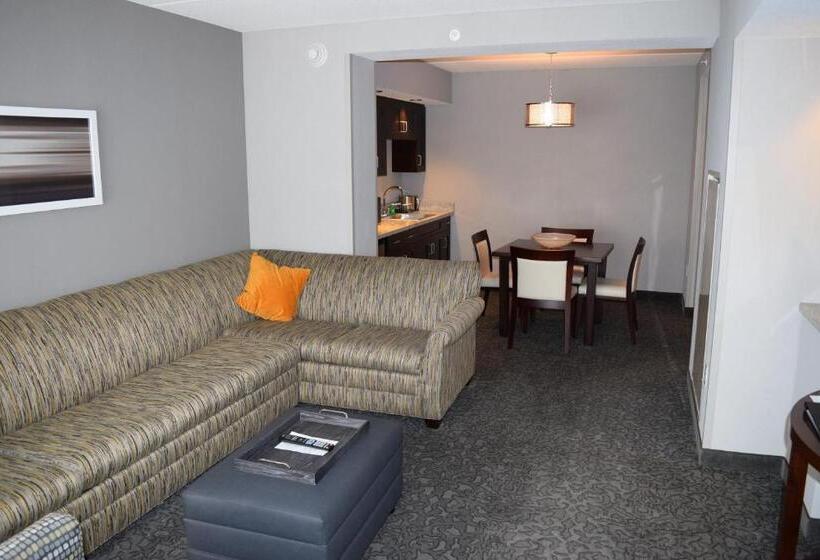 スタンダードルーム, Holiday Inn And Suites East Peoria, An Ihg