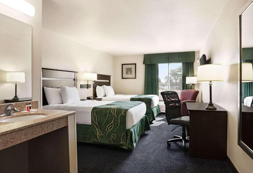 Номер Deluxe Адаптированный для Инвалидов, Travelodge By Wyndham Mcalester