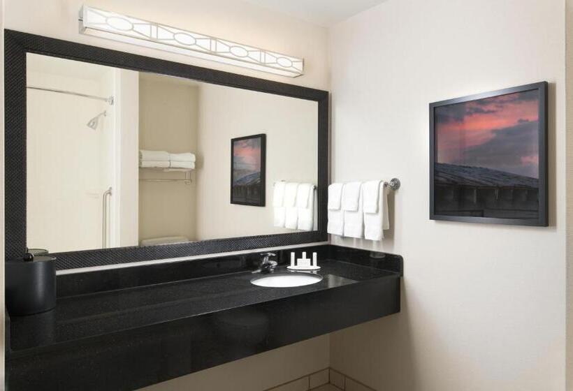 适合残疾人使用的标准间, Fairfield By Marriott Inn & Suites Knoxville Turkey Creek