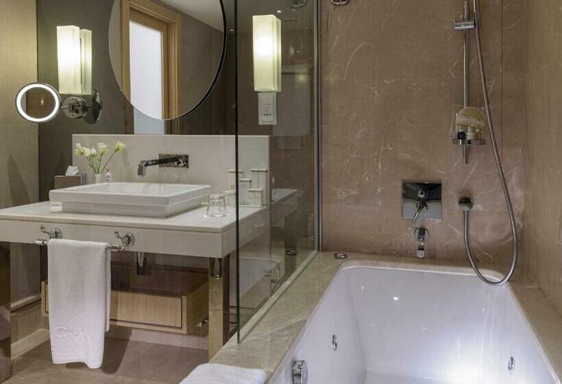 １ルームプレステージアパートメント, Cvk Park Bosphorus Hotel Istanbul