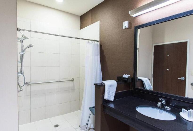 스탠다드 룸 킹사이즈 침대, Fairfield Inn And Suites By Marriott Natchitoches