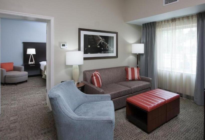 适合残疾人士使用的套间, Staybridge Suites Buffalo Amherst, An Ihg