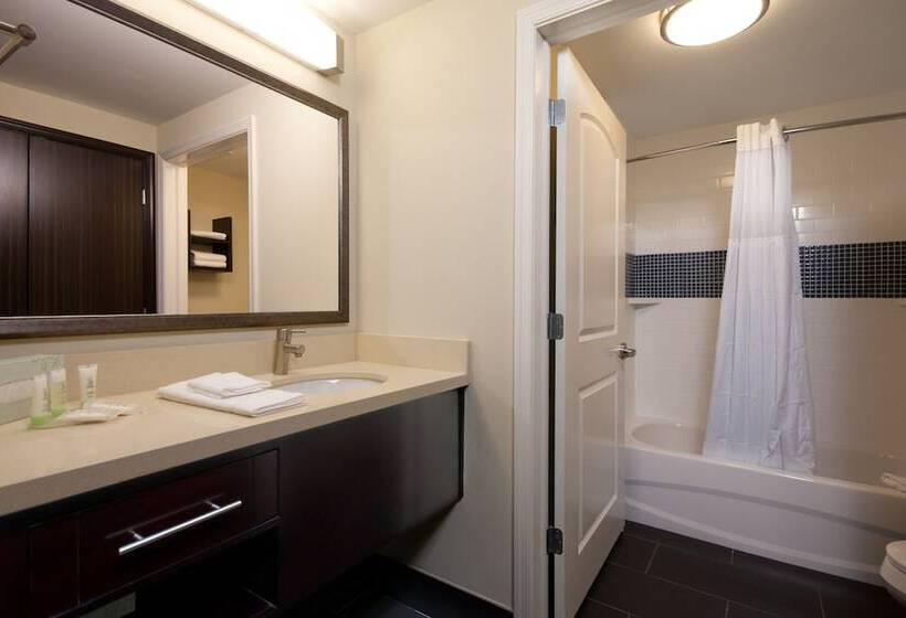 适合残疾人士使用的套间, Staybridge Suites Buffalo Amherst, An Ihg