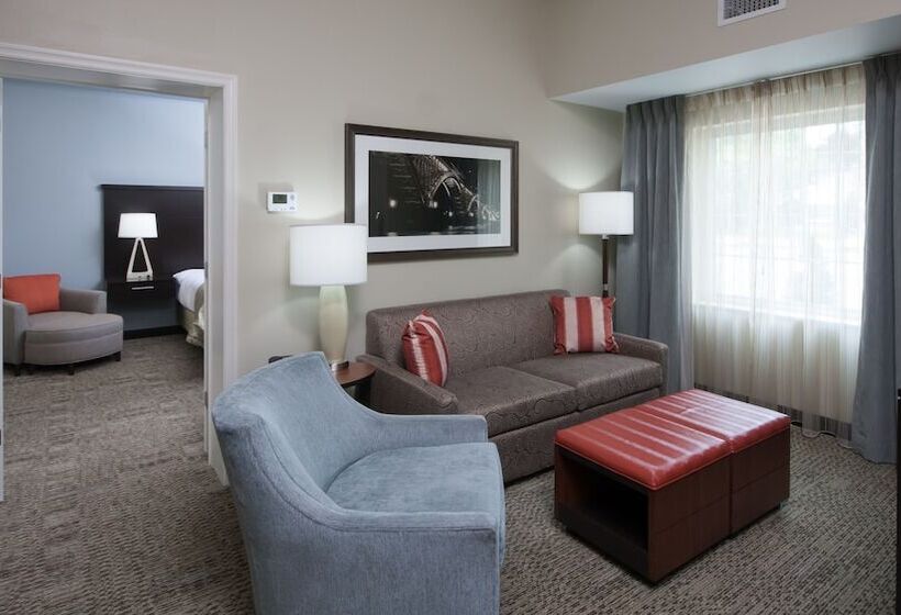 带2个卧室的套房, Staybridge Suites Buffalo Amherst, An Ihg