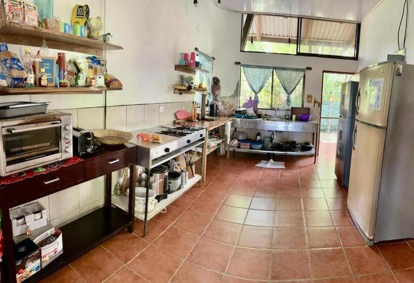 스탠다드 트리픔 룸 공동욕실, Luminosa Uvita Hostel