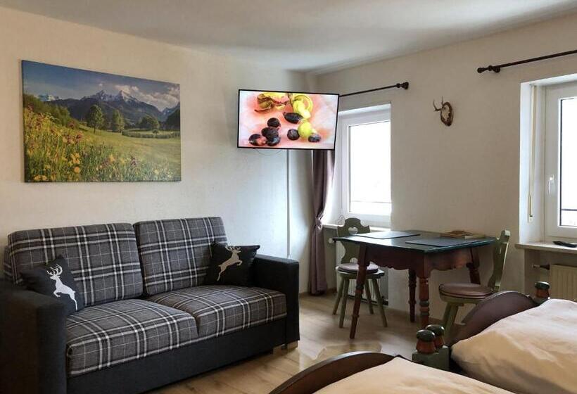 Семейное Студио, Pension Und Ferienwohnung Frech
