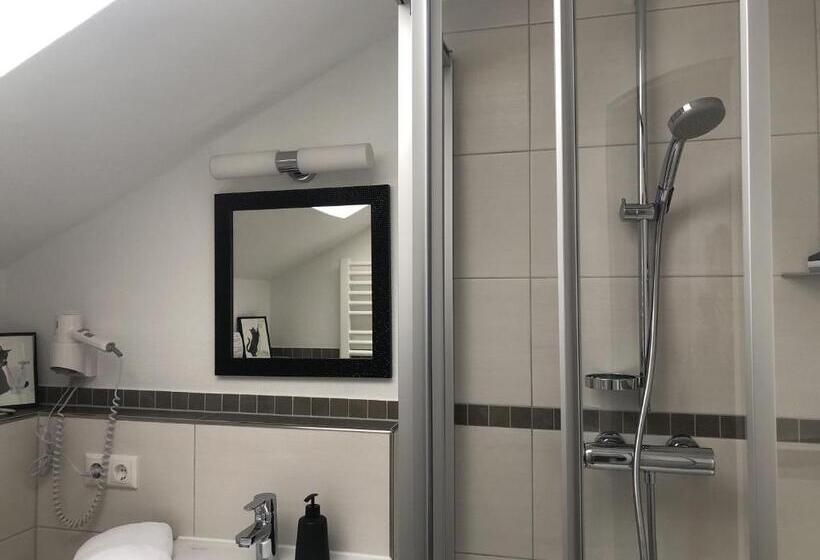 Номер Стандарт, Pension Und Ferienwohnung Frech