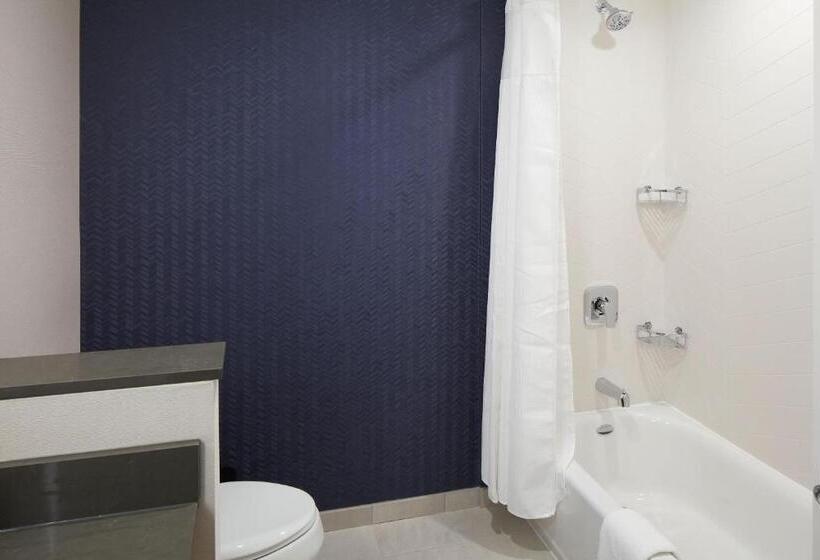 Номер Стандартный Кровать Куин, Fairfield Inn & Suites Seneca Clemson Univ Area