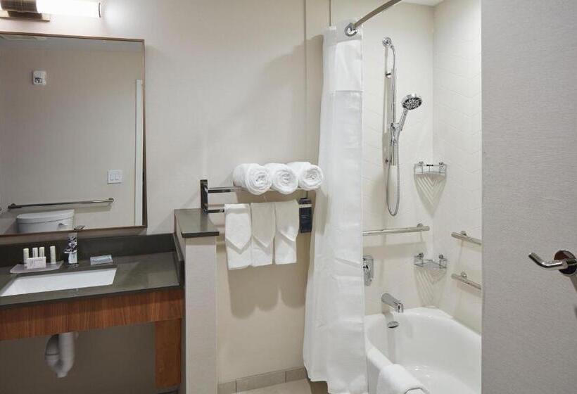 Номер Стандарт, Fairfield Inn & Suites Seneca Clemson Univ Area