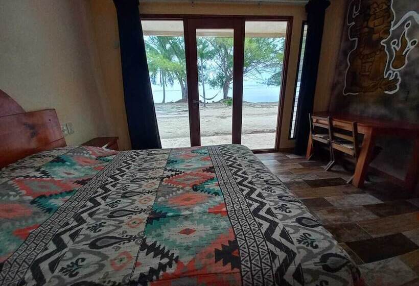 スタンダードルーム, Xcalak Caribe Lodge