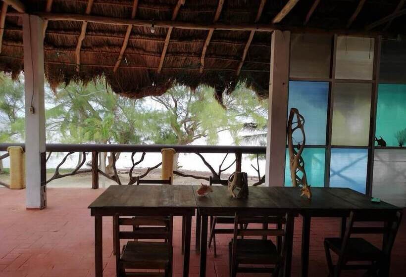 スタンダードルーム, Xcalak Caribe Lodge