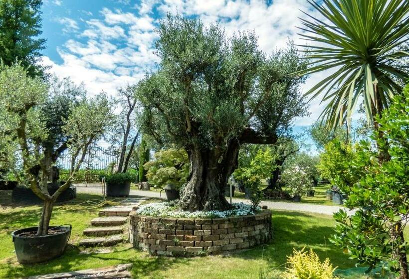 اتاق سوپریور, Agriturismo Il Glicine Bianco