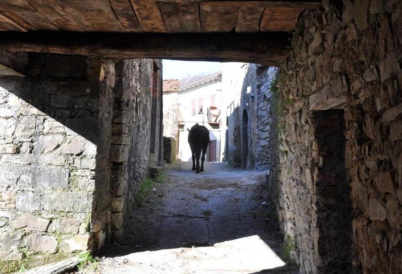 اتاق استاندارد, Agriturismo B&b Luna Di Quarazzana In Fivizzano Tuscany