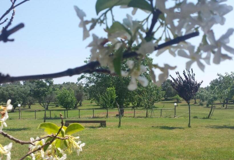 Номер Стандарт, Agriturismo San Matteo