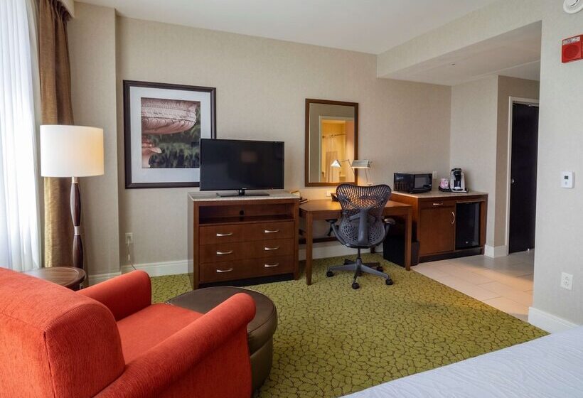 Номер Стандарт Двуспальная Кровать Адаптированный для Инвалидов, Hilton Garden Inn Buffalo Downtown