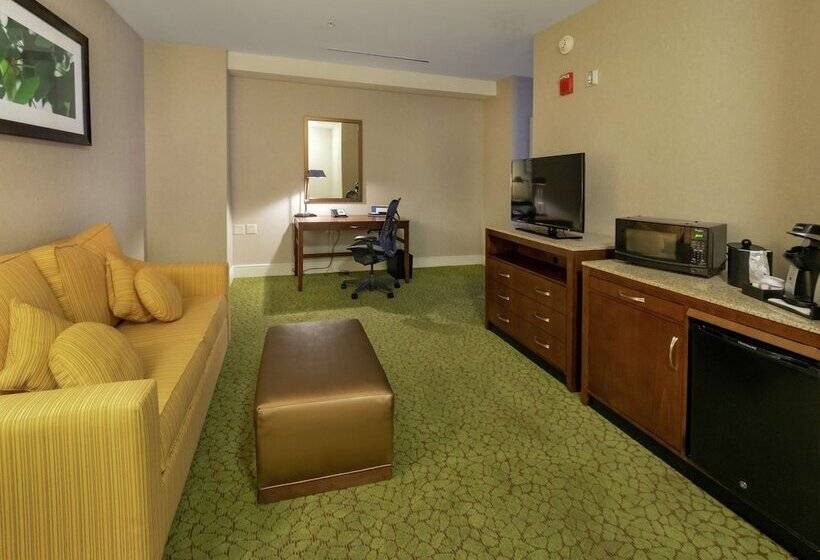 Полулюкс, Hilton Garden Inn Buffalo Downtown