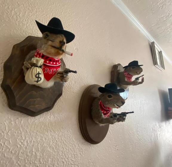 Номер Стандарт, Sacajawea Inn