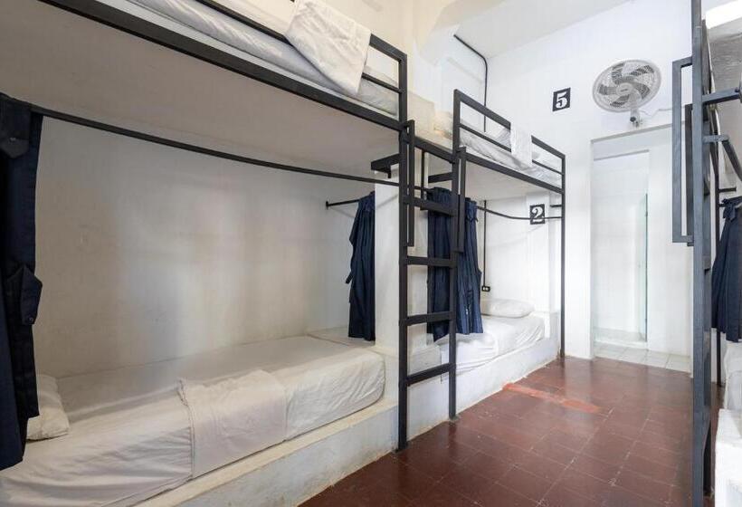 Кровать в Общей Комнате, Media Luna Hostel