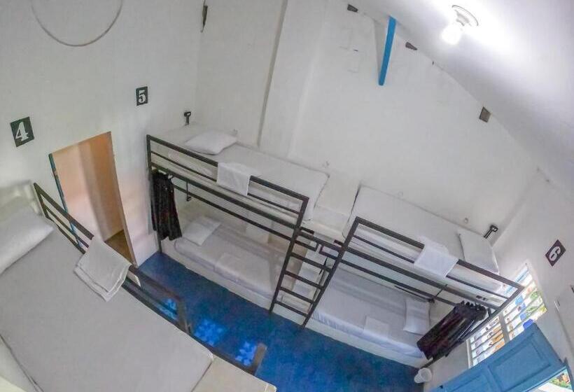 Кровать в Общей Комнате, Media Luna Hostel