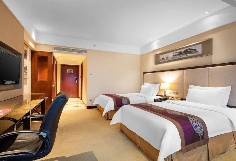 Quarto Superior, Shenzhen L.gem