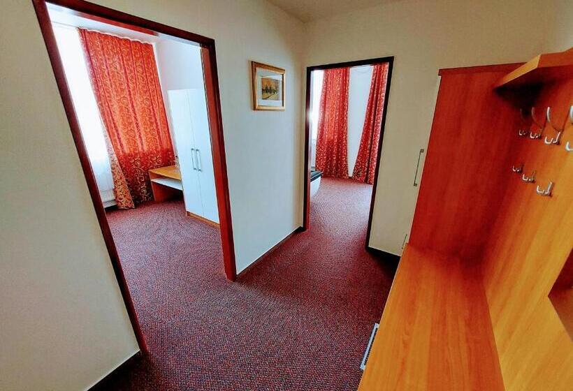 Апартаменты 1 Спальня, Agrohotel Tri Brezy