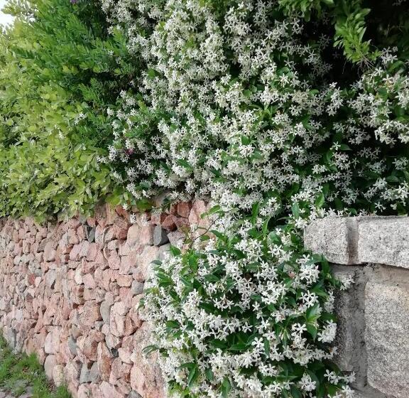 Полулюкс, La Forma Dell Acqua
