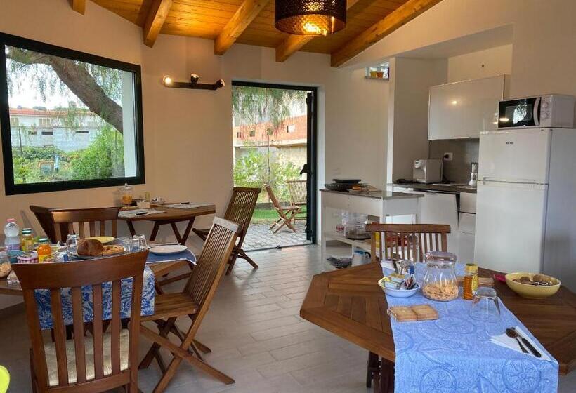 Quarto Basic, Il Pepe Rosa