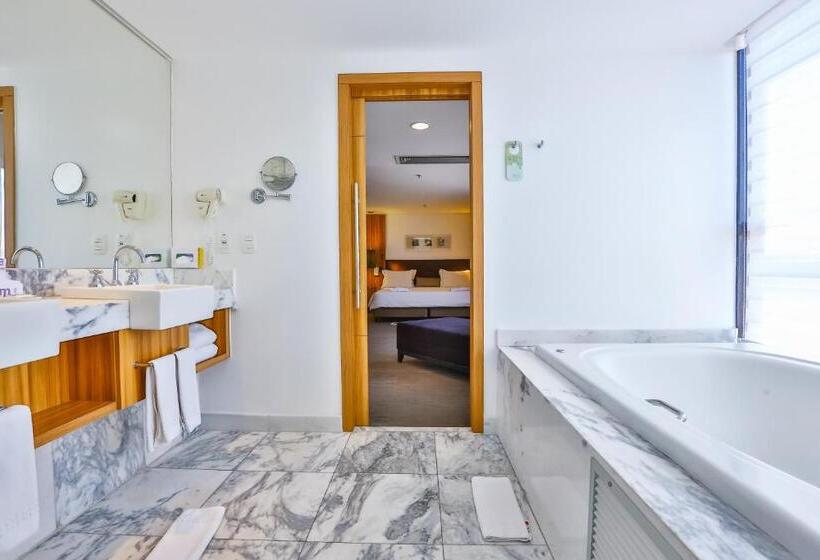 Suite Executiva, Oft Alfre Hotels   Goiânia