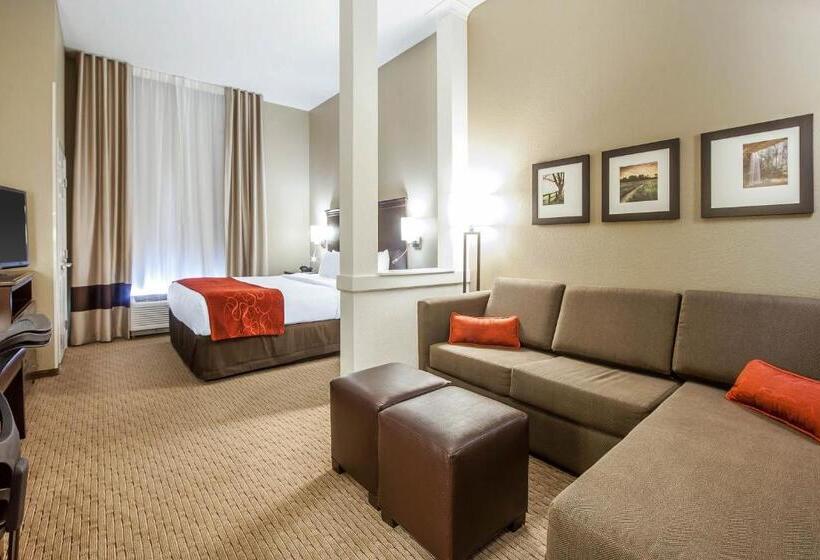 Люкс Executive Кровать Кинг, Comfort Suites Marietta Parkersburg