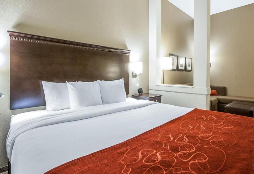 Люкс Адаптированный для Инвалидов, Comfort Suites Marietta Parkersburg