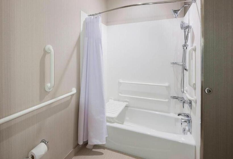 带大床的套房, Courtyard By Marriott Houston North/shenandoah