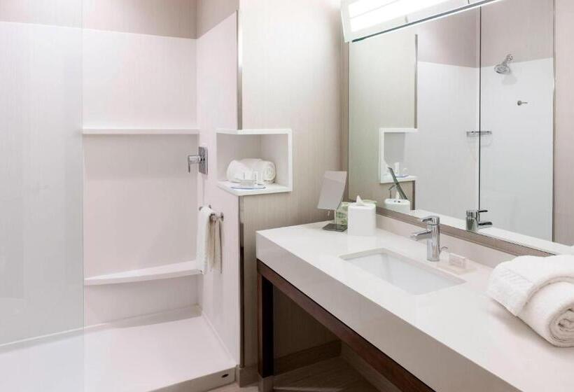 标准间, Courtyard By Marriott Houston North/shenandoah