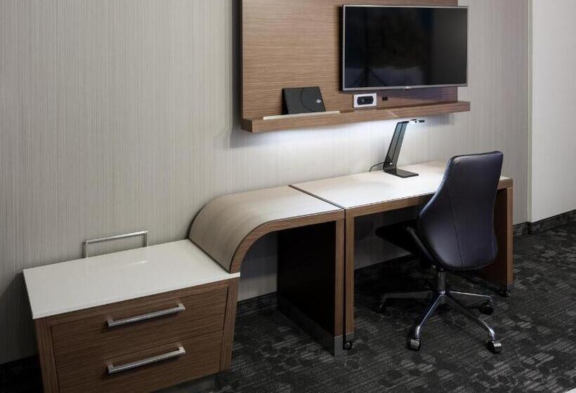 标准间, Courtyard By Marriott Houston North/shenandoah