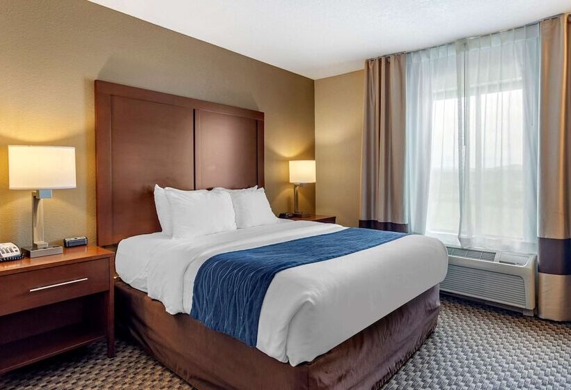 Люкс Адаптированный для Инвалидов, Comfort Inn & Suites