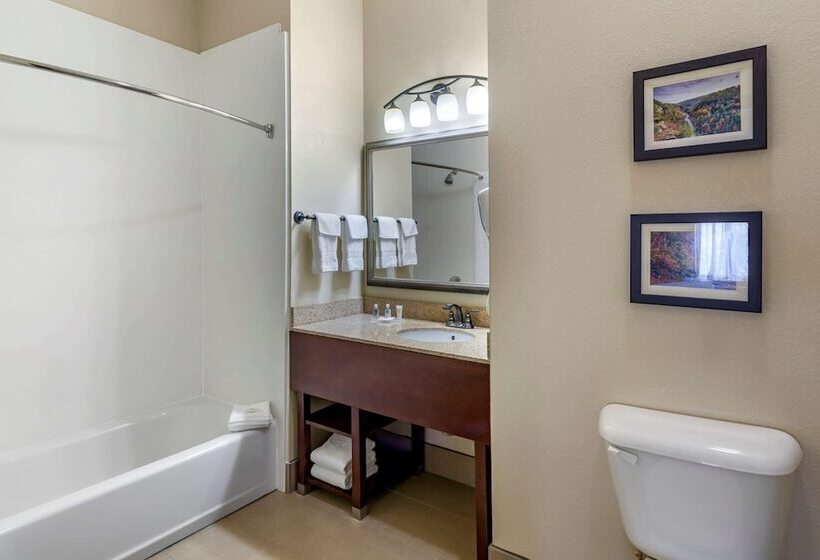 Люкс Адаптированный для Инвалидов, Comfort Inn & Suites