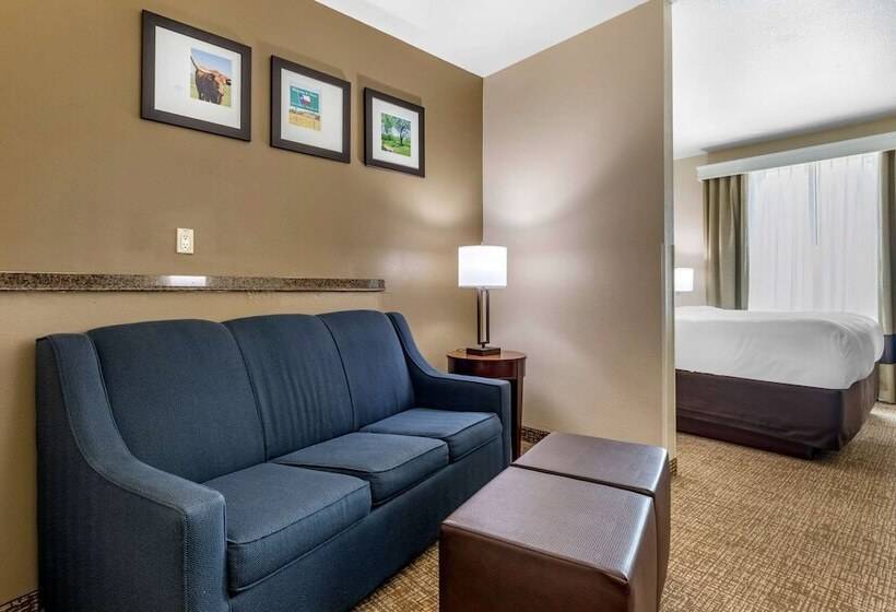 Люкс, Comfort Inn & Suites Near Lake Lewisville