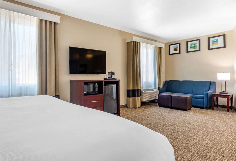 Люкс, Comfort Inn & Suites Near Lake Lewisville
