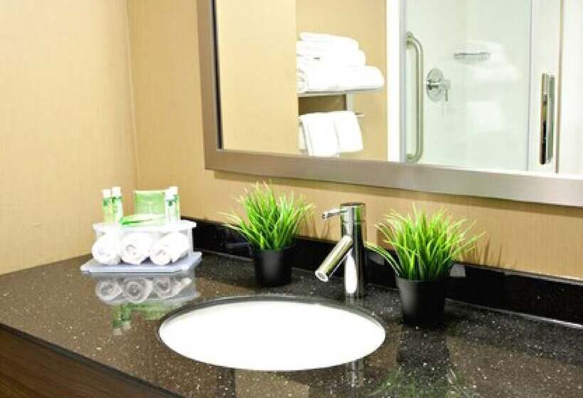 适合残疾人士使用的套间, Holiday Inn Express Pembroke, An Ihg